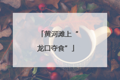 黄河滩上“龙口夺食”