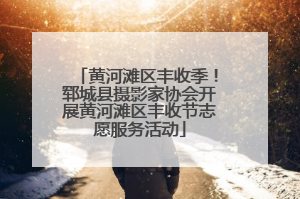 黄河滩区丰收季！郓城县摄影家协会开展黄河滩区丰收节志愿服务活动