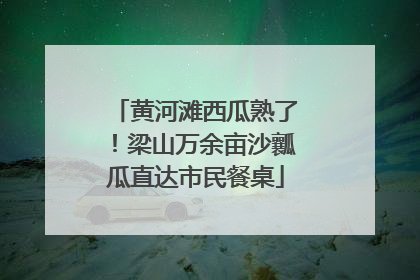 黄河滩西瓜熟了！梁山万余亩沙瓤瓜直达市民餐桌