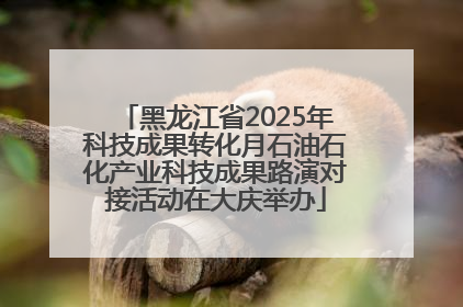 黑龙江省2025年科技成果转化月石油石化产业科技成果路演对接活动在大庆举办