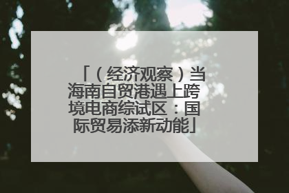 （经济观察）当海南自贸港遇上跨境电商综试区：国际贸易添新动能