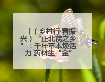 （乡村行·看振兴）“正北芪之乡”：千年草本焕活力 药材生“金”富农家