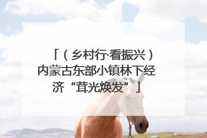 （乡村行·看振兴）内蒙古东部小镇林下经济“茸光焕发”