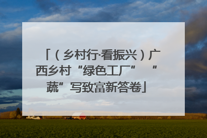 （乡村行·看振兴）广西乡村“绿色工厂” “蔬”写致富新答卷