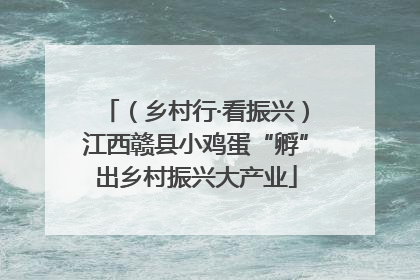 （乡村行·看振兴）江西赣县小鸡蛋“孵”出乡村振兴大产业