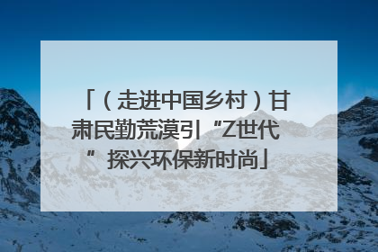 （走进中国乡村）甘肃民勤荒漠引“Z世代”探兴环保新时尚