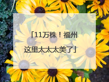 11万株！福州这里太太太美了