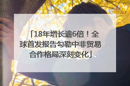 18年增长逾6倍！全球首发报告勾勒中非贸易合作格局深刻变化