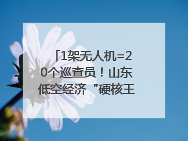 1架无人机=20个巡查员！山东低空经济“硬核王炸”亮相青岛，下一个万亿赛道藏在这里