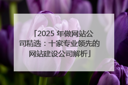 2025 年做网站公司精选：十家专业领先的网站建设公司解析