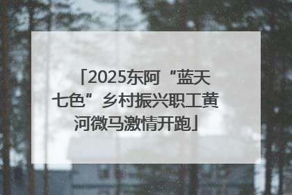 2025东阿“蓝天七色”乡村振兴职工黄河微马激情开跑