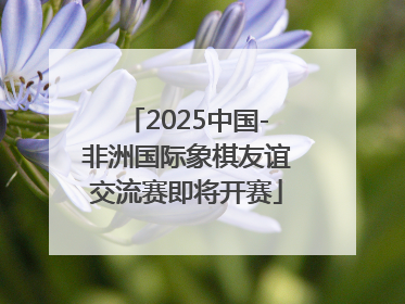2025中国-非洲国际象棋友谊交流赛即将开赛