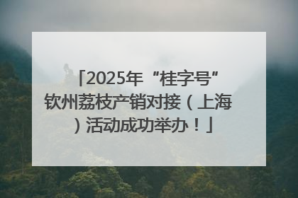 2025年“桂字号”钦州荔枝产销对接（上海）活动成功举办！