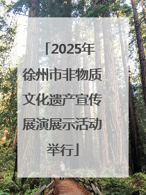 2025年徐州市非物质文化遗产宣传展演展示活动举行