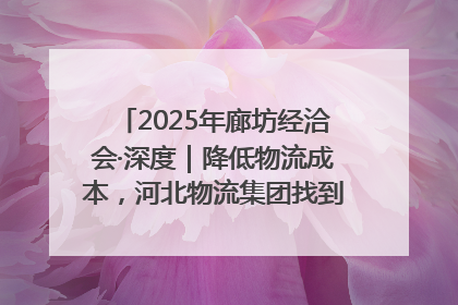 2025年廊坊经洽会·深度｜降低物流成本，河北物流集团找到一把“金钥匙”