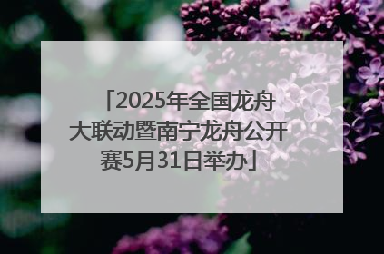 2025年全国龙舟大联动暨南宁龙舟公开赛5月31日举办