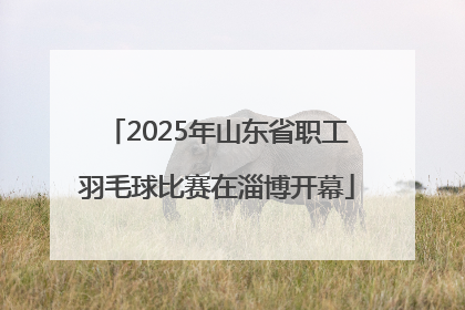 2025年山东省职工羽毛球比赛在淄博开幕