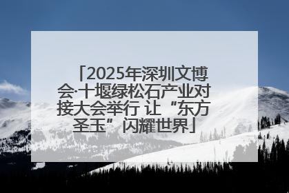 2025年深圳文博会·十堰绿松石产业对接大会举行 让“东方圣玉”闪耀世界
