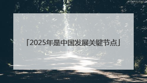2025年是中国发展关键节点