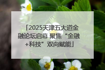 2025天津五大道金融论坛启幕 聚焦“金融+科技”双向赋能