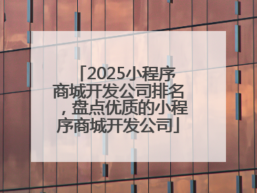 2025小程序商城开发公司排名，盘点优质的小程序商城开发公司