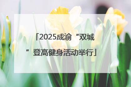 2025成渝“双城”登高健身活动举行