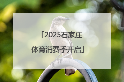2025石家庄体育消费季开启