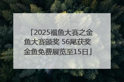 2025福鱼大赛之金鱼大赛颁奖 56尾获奖金鱼免费展览至15日