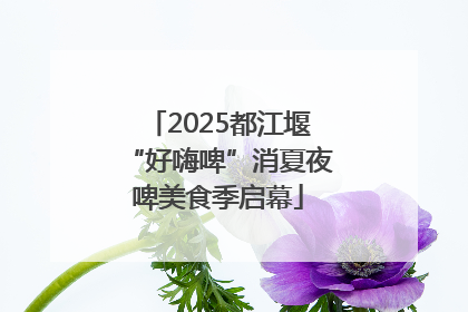 2025都江堰“好嗨啤”消夏夜啤美食季启幕