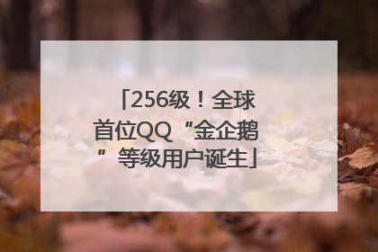 256级！全球首位QQ“金企鹅”等级用户诞生