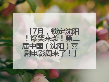 7月，锁定沈阳！爆笑来袭！第二届中国（沈阳）喜剧电影周来了！