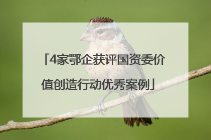 4家鄂企获评国资委价值创造行动优秀案例