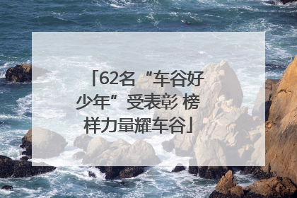 62名“车谷好少年”受表彰 榜样力量耀车谷