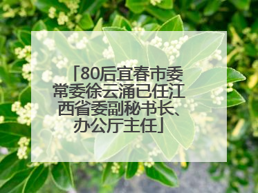 80后宜春市委常委徐云涌已任江西省委副秘书长、办公厅主任