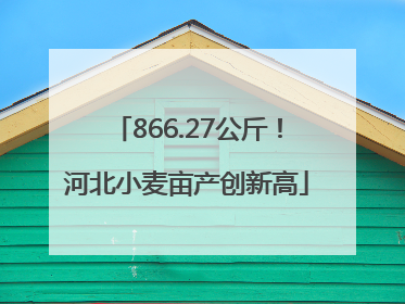866.27公斤！河北小麦亩产创新高