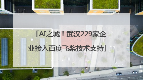 AI之城！武汉229家企业接入百度飞桨技术支持