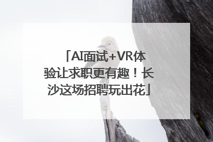 AI面试+VR体验让求职更有趣！长沙这场招聘玩出花